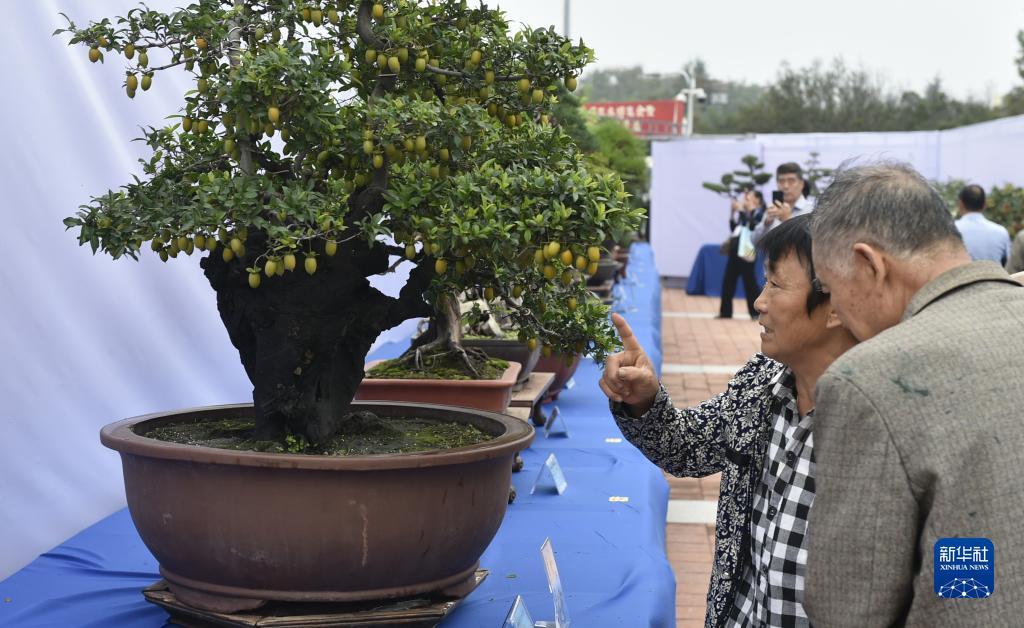 每日首存活动